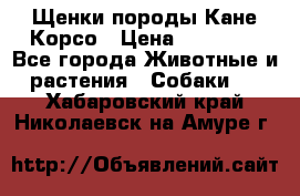 Щенки породы Кане-Корсо › Цена ­ 25 000 - Все города Животные и растения » Собаки   . Хабаровский край,Николаевск-на-Амуре г.